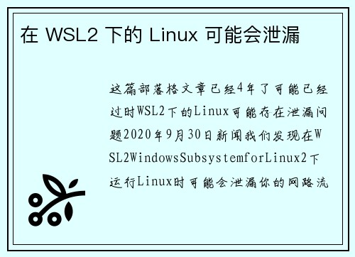 在 WSL2 下的 Linux 可能会泄漏 